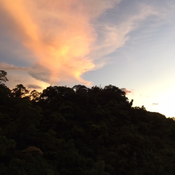 Meet your Posher, H - Picture 9 of 16